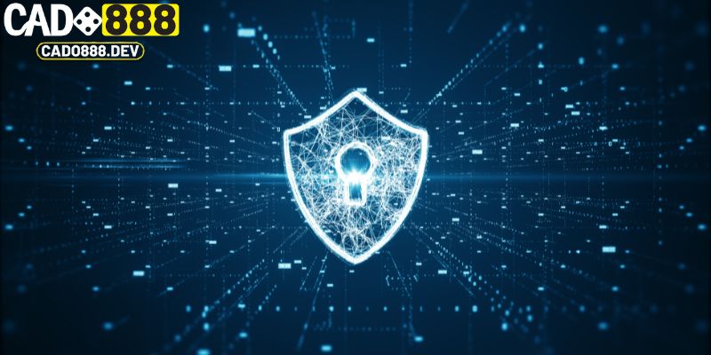 Tường lửa được sử dụng trong chính sách bảo mật