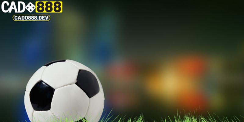 Vài thông tin giới thiệu về kèo châu Âu