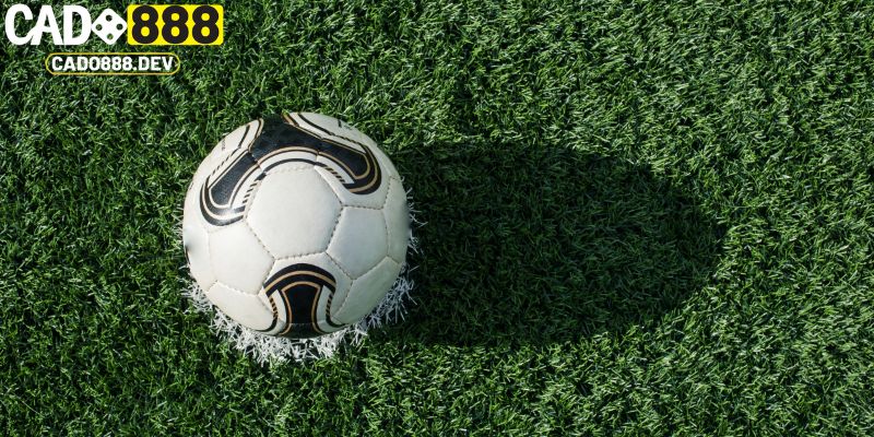 Vài nét giới thiệu về kèo rung