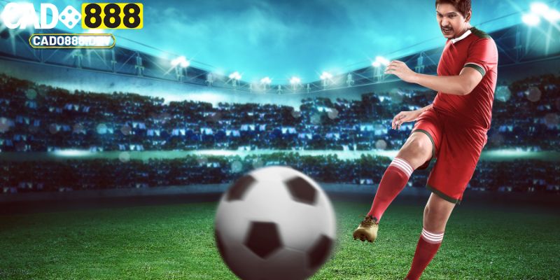 Một số kinh nghiệm khi cá cược kèo rung